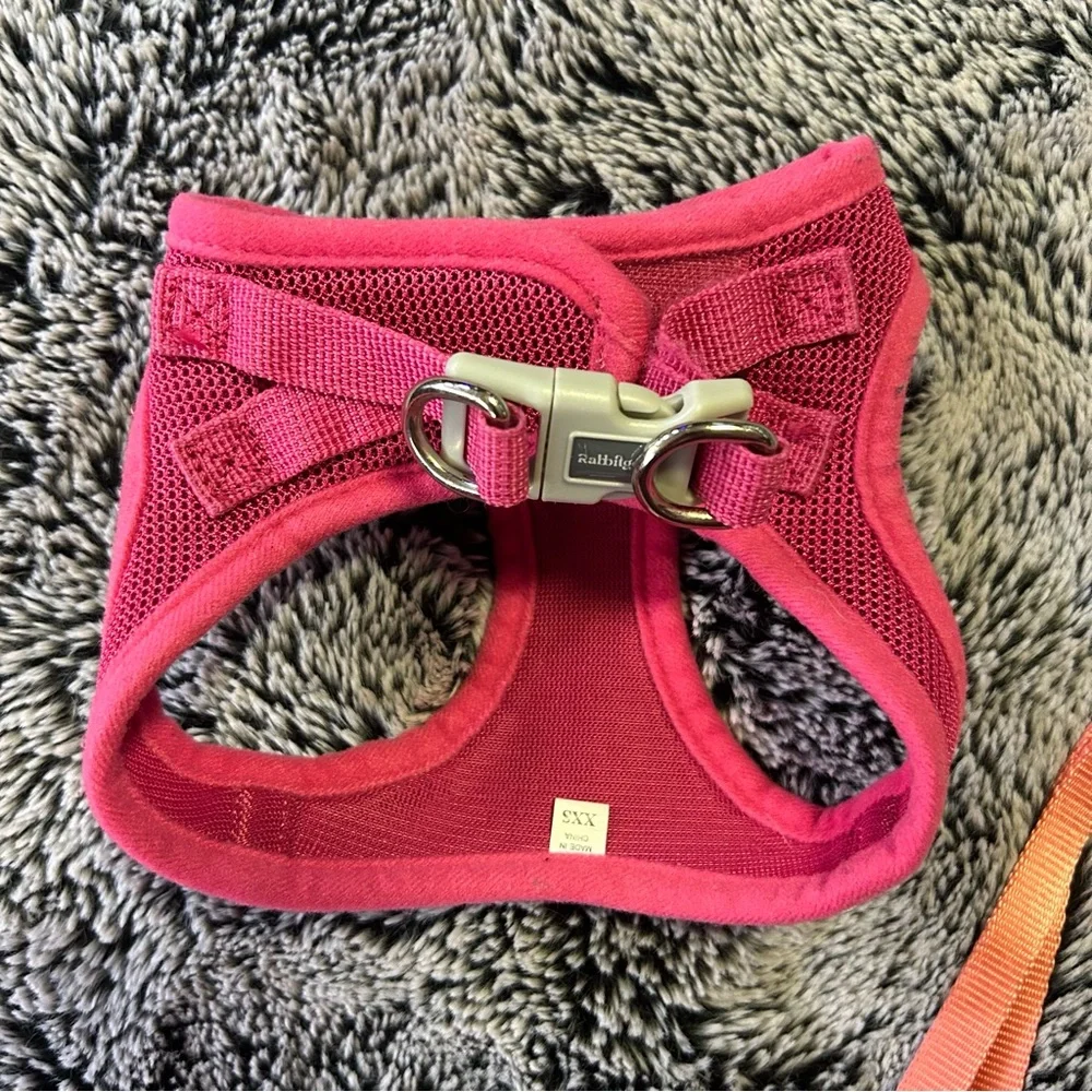 XS Pet harnesses / leashes